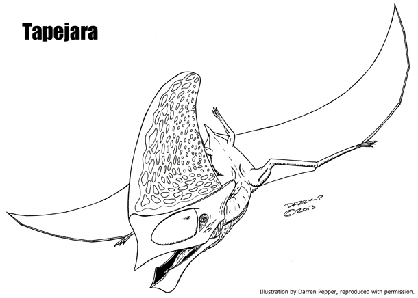 Top 10 Standout Pterosaurs