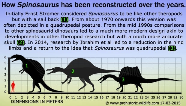 Spinosaurus Over the Years Reconstruction and advancements