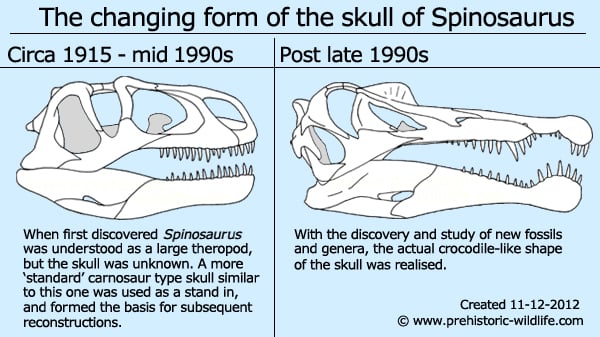 Spinosaurus Skull Change over time from circa 1915 - mid 1990s to post late 1990s