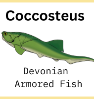 Coccosteus Reconstruction Illustration