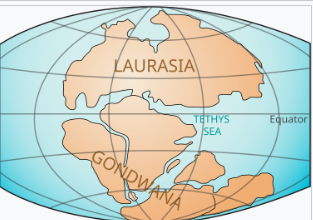 Globe image showing Godwana and Laurasia 