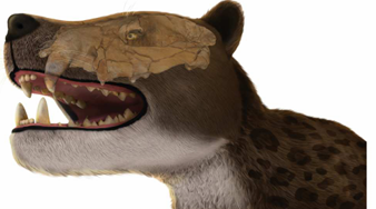 reconstruction of the head and neck region of  Bastetodon syrtos