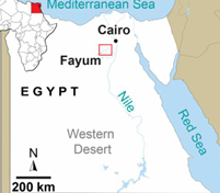 Fayum ,Egypt region where skull of  Bastetodon was found