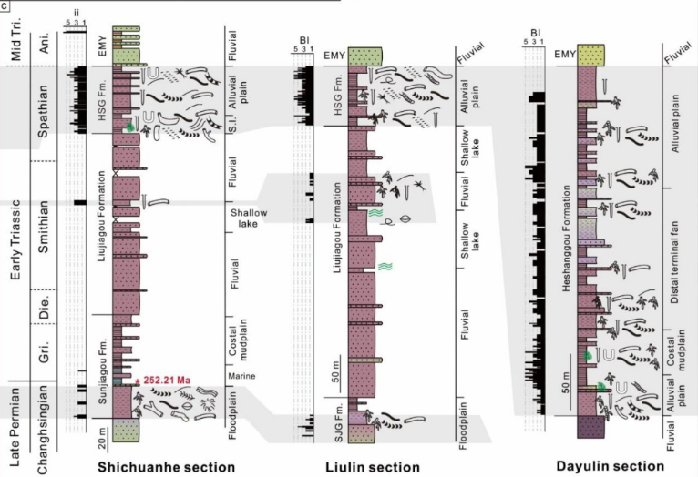 image shows The distribution of trace fossils within rock layers reveals how ancient environments changed 