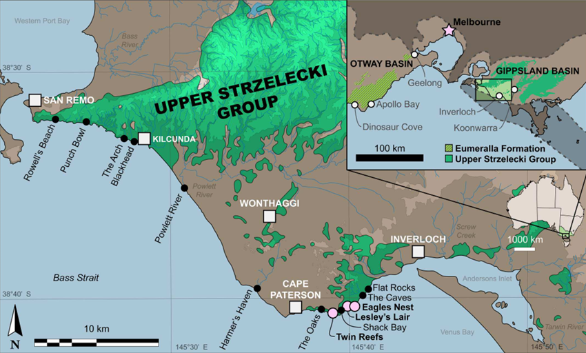 Locations Where fossils were found of megaraptorid and carcharodontosaur