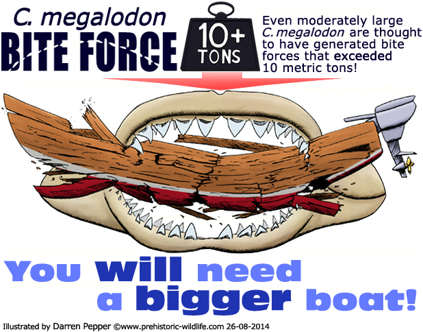 c-megalodon-bite-force, Biting a boat (Comparision)