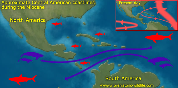 megalodon Locations