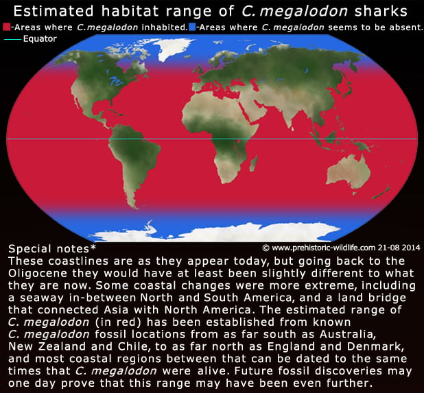 Megalodon Known Locations, World Distribution