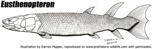 Top‭ ‬10‭ ‬Prehistoric fish (With Pictures) - Prehistoric-Wildlife