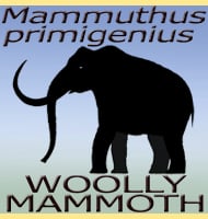 Woolly Mammoth