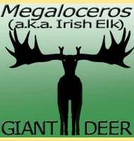 Megaloceros aka Irish Elk