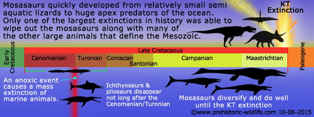 mosasaur-timeline in detail infographic