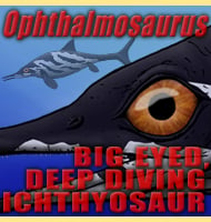 ophthalmosaurus illustration