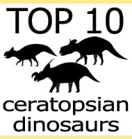 Top Ten Ceratopsians