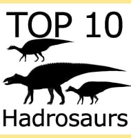 top ten hadrosaurs