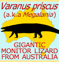 varanus priscus a.k.a Megalania